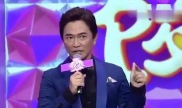 王青爆料一线男星视频播放,一线男星私密视频播放背后的惊人真相