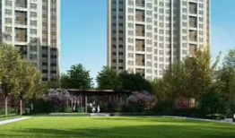 凤栖华府爆料最新消息,揭秘项目神秘面纱，品质生活即将绽放！”