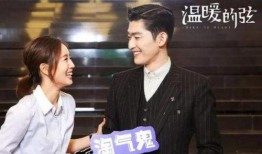 爆料娱乐圈张翰小说,揭秘娱乐圈背后的爱恨情仇